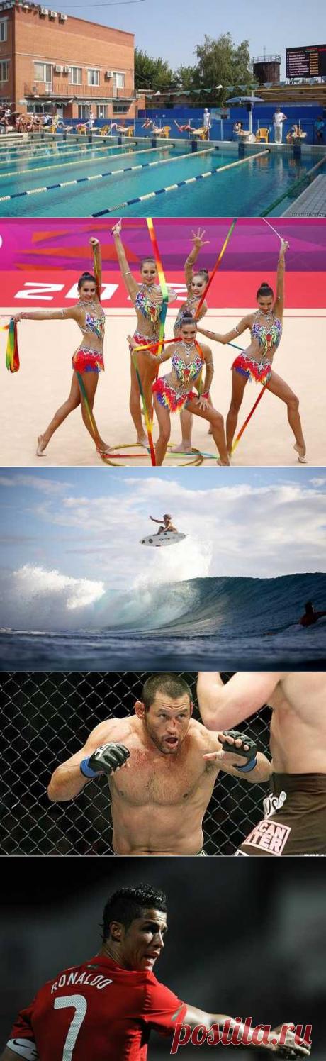 Грэпплинг, Регбилиг, Рукопашный бой. (1/1) - Спортивный форум. - Спортивный сайт