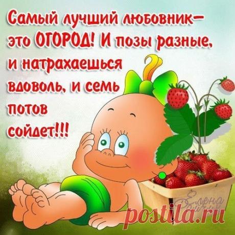 За столиком в баре сидят два американца и наблюдают за русским...
Они говорят, как много людей умирает из-за алкоголя... Они даже непредставляют себе, сколько людей рождается из-за алкоголя!
Загадка: «Как называется человек, у которого есть много-много преданных д…