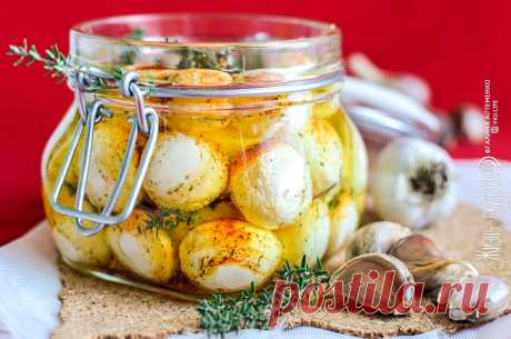 Маринованный сыр. Шарики лабне • Жизнь - вкусная! Кулинарный сайт Галины Артеменко Маринованный сыр - это просто, быстро и невероятно вкусно! Приготовив такой сыр на праздник хотя бы разок, вы полюбите его навсегда!
