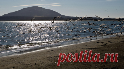 Песков: территориальная принадлежность Курил не должна вызывать сомнений. Территориальная принадлежность Курил не должна вызывать сомнений ни у кого, заявил пресс-секретарь президента России Дмитрий Песков. Читать далее