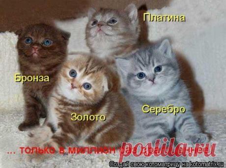 Ювелирный набор