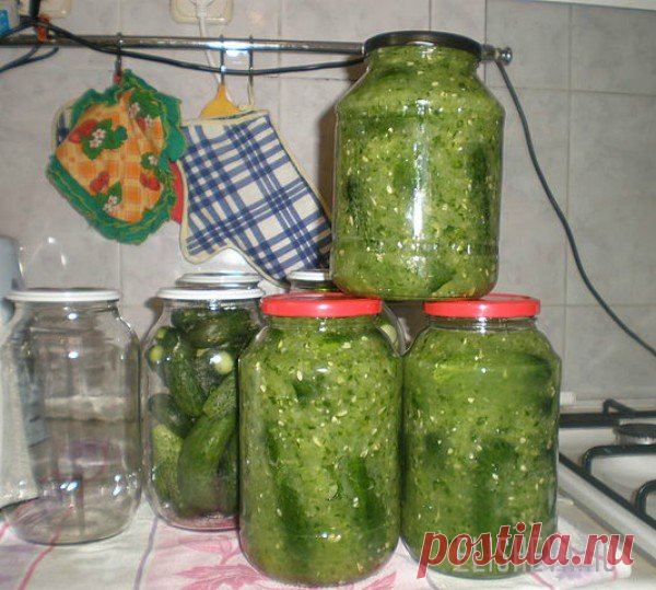 Огурцы в огурцах на зиму