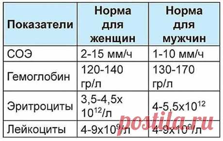 9 ПОКАЗАТЕЛЕЙ КРОВИ, КОТОРЫЕ РАССКАЖУТ ВСЕ О ВАШЕМ ЗДОРОВЬЕ
Итак, что же говорит нам наша кровь? Анализ крови мы сдаем практически при любом заболевании. И грамотный врач непременно отправит вас первым делом “на кровь”. Для общего анализа кровь берется или из вены, или из пальца. И первичный анализ можно сдавать не натощак. Но для развернутого есть нельзя ни в коем случае! Помните это!
Причина такого требования проста: любая пища изменит ваш сахар в крови, и анализ будет н...