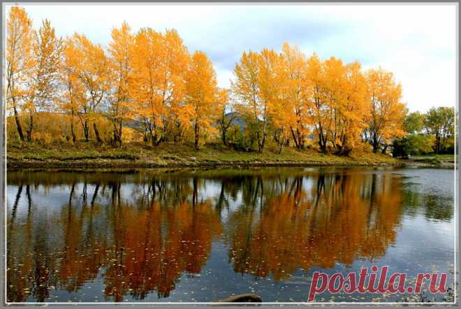 ФОТОМАСТЕРСКАЯ ПРИРОДЫ
Михаил Горенский