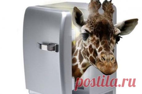 Вы носите причины своего несчастья или блаженства, Рая или Ада внутри себя. Что бы с вами не происходило, это случается из-за вас. Внешние причины вторичны, внутренние причины первичны.
И пока вы не поймёте этого, внутренняя трансформация невозможна. Если причина вовне, тогда вы вечно будете в рабстве, потому что вы не можете изменить внешние причины. Если же вы сделаете хоть одно изменение, за ним последуют миллионы. Причины внутри, снаружи только оправдания.
Ошо