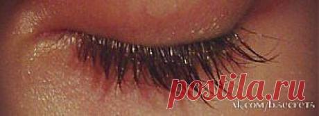 Растишка для ресничек!