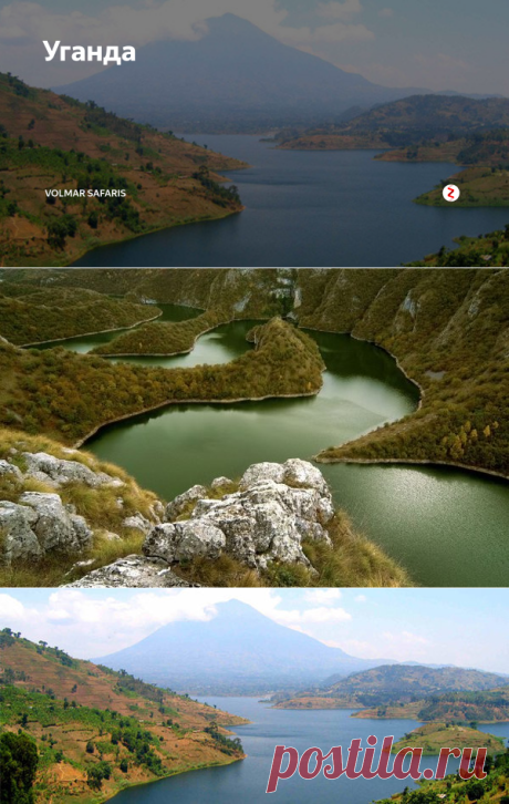 Уганда | Volmar Safaris | Яндекс Дзен