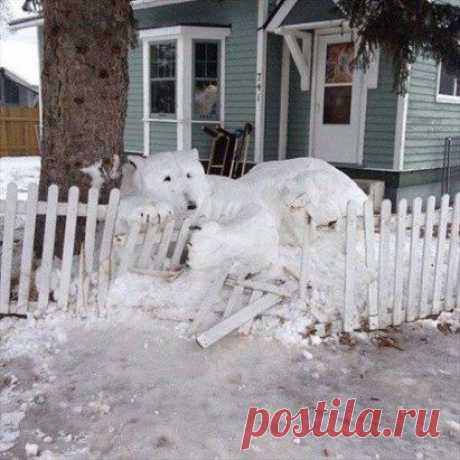 Упал в палисадник