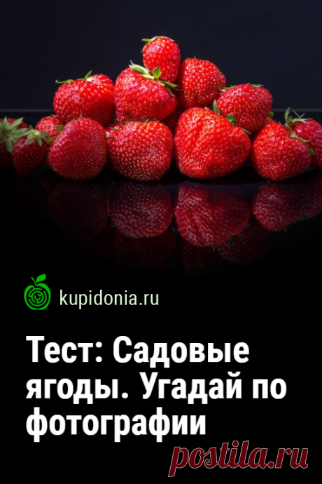 Тест: Садовые ягоды. Угадай по фотографии. Тест с фотографиями и подсказками, который проверит ваши знания о садовых ягодах. А так же вашу визуальную память. Попробуйте свои силы!