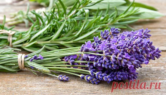 Натуральная безопасная косметика из Франции &#8212; Моя команда Biosea