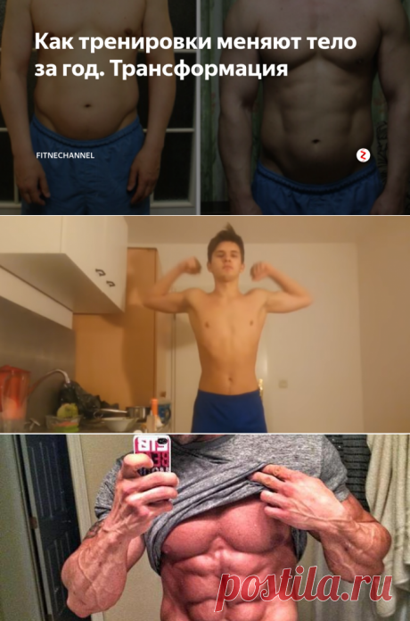 Как тренировки меняют тело за год. Трансформация | fitnechannel | Яндекс Дзен