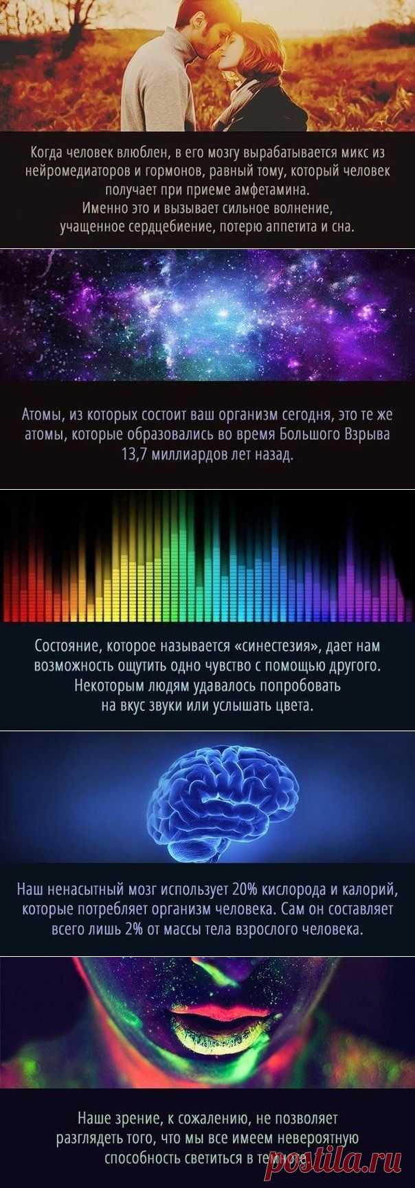 9 суперспособностей, которые есть у каждого. Посмотрите эти картинки и прочтите, вы узнаете много нового, интересного, любопытного о себе, о тех способностях, которыми мы обладаем, но даже и не догадываемся о них ( кто - то конечно знал об этом, но многие нет)