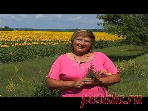 Секреты здоровья и красоты от Татьяны Чухрай