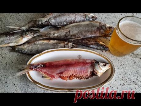 Рецепт донских рыбаков! Рыбец Вяленый! Выпуск№885 - YouTube