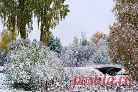 ФОТОМАСТЕРСКАЯ ПРИРОДЫ
Валентина Кобцева