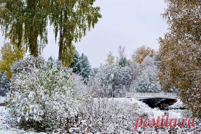 ФОТОМАСТЕРСКАЯ ПРИРОДЫ
Валентина Кобцева
