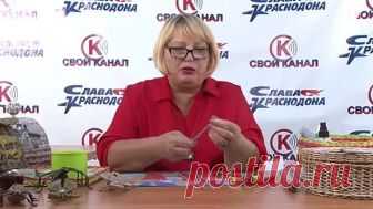 Краснодонщина мастеровая. Ирина Алышева - Плетение из бумажной лозы
