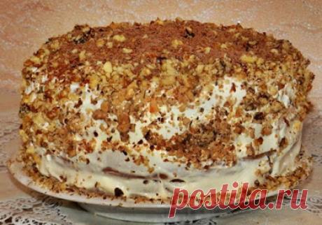 Кулинарные рецепты : Торт «Сметанник» классический