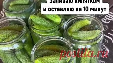 Хрустящие и вкусные огурчики Бондюэль