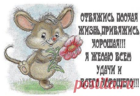 Пусть беда, дурная весть - Далеко от Вас кочуют. Если счастье в мире есть, - С Вами пусть оно ночует.Вам желаю не болеть, - Счастье полное иметь,Никогда не волноваться, - Больше в жизни улыбаться.