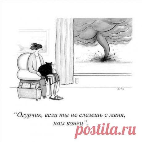 Угарные комиксы (15 картинок) . Тут забавно !!!