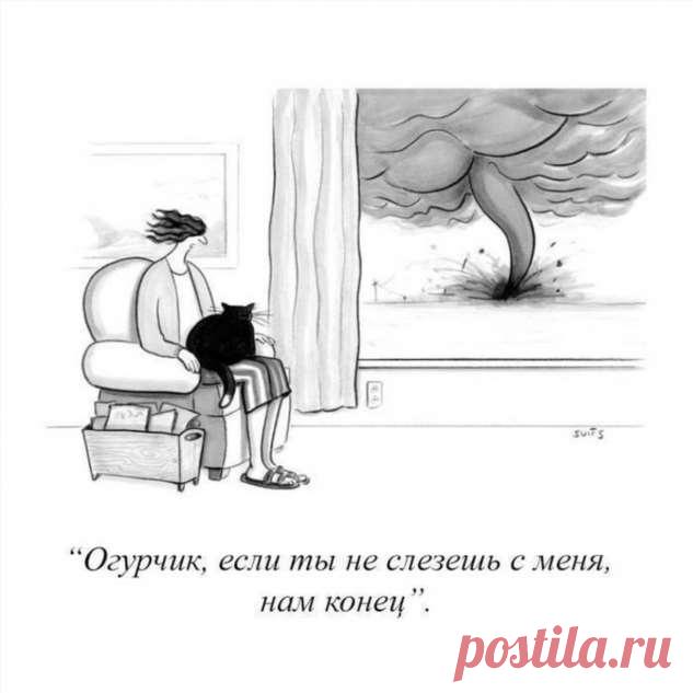 Угарные комиксы (15 картинок) . Тут забавно !!!