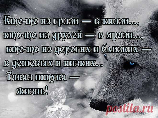 Просто понравилось...: Кладезь житейской мудрости: Группы - diets.ru