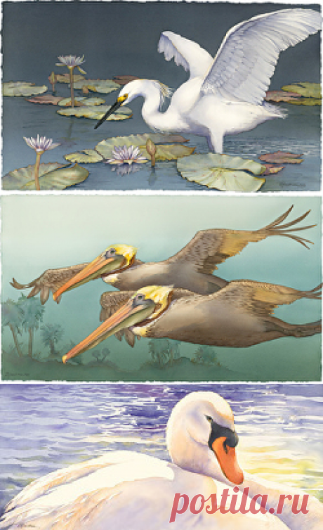 Barbara Groenteman - Portfolio of Works: Original Watercolors