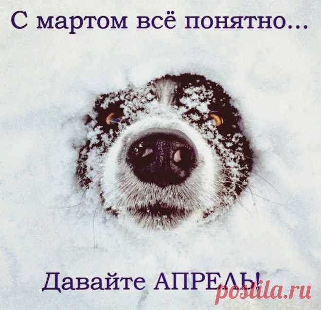 гг