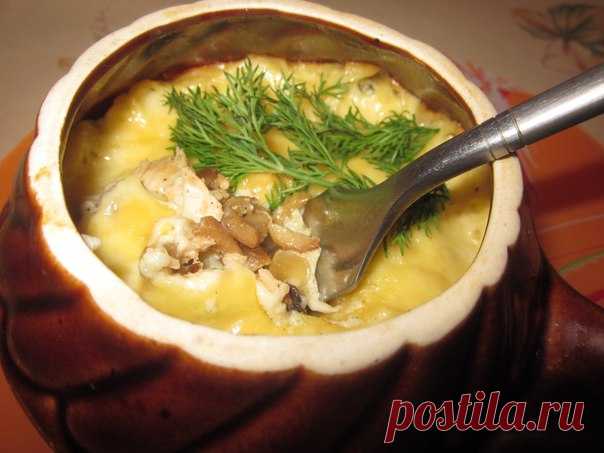 Жюльен с курицей и грибами / Райская пища