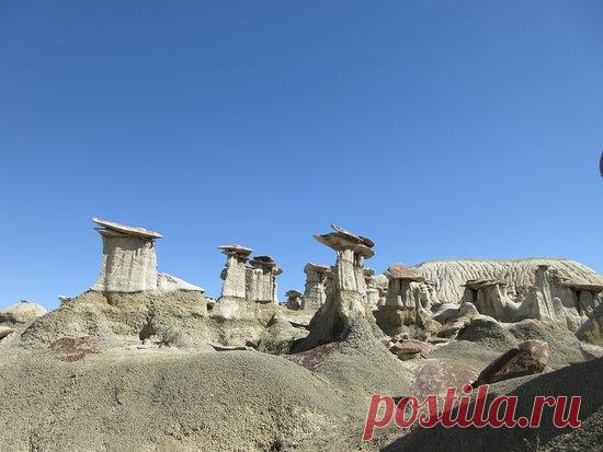 Ah-Shi-Sle-Pah Wilderness Study Area: Excellent Quiet Adventure! - See 13 traveller reviews, 65 candid photos, and great deals for Bloomfield, NM, at Tripadvisor.