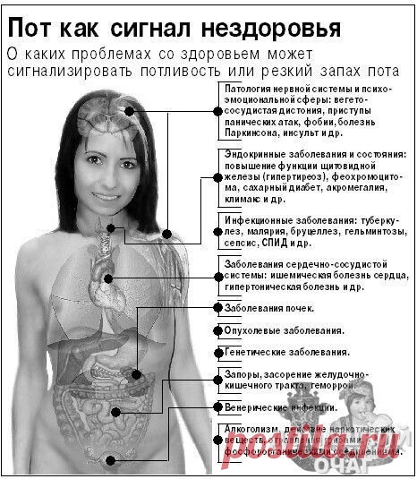 Изображение пина-истории