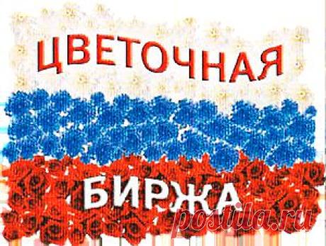 Комнатные растения – символы удачи, богатства, любви?
