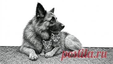 Не бойся, мама - OGADANIE.RU