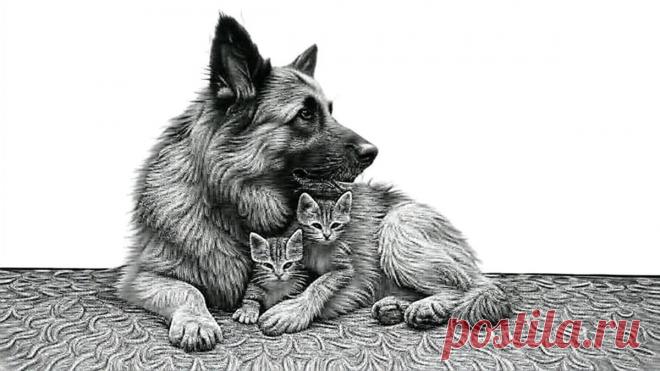 Не бойся, мама - OGADANIE.RU