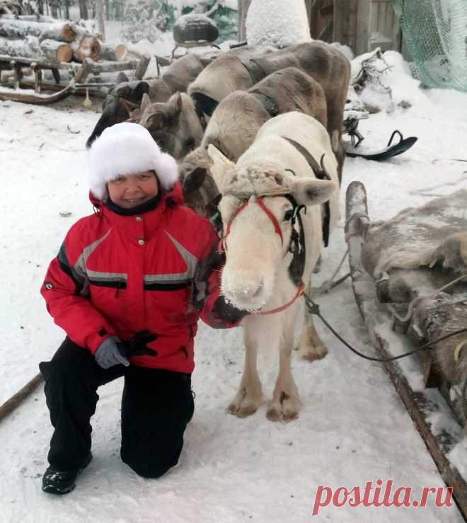 Заполярье