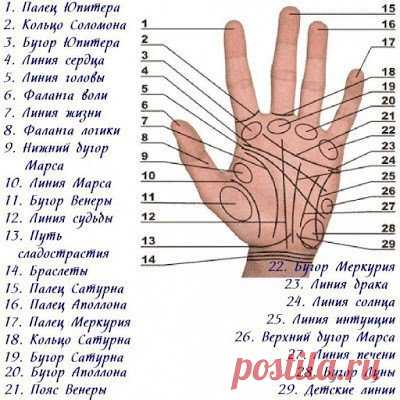 86 способов определения болезни по руке