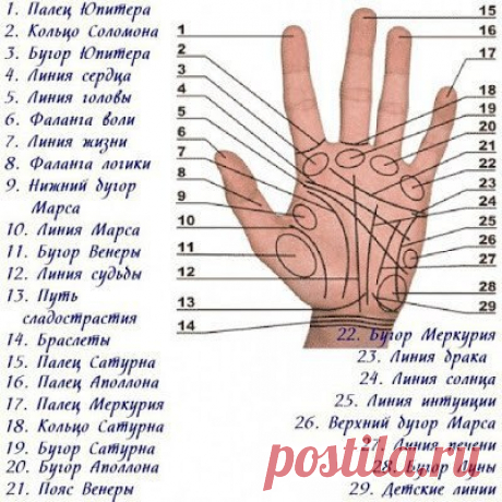 86 способов определения болезни по руке