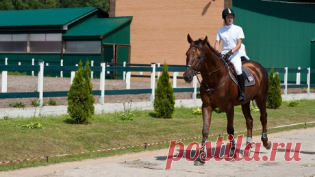 Ни для кого не секрет, что прогулки на лошадях считаются не просто интересным занятием, но и отличным средством для укрепления здоровья и поддержания осанки. Конный клуб «Horsewalk» находится в шикарном уголке подмосковного города Дзержинский, всего в 2 км от Москвы. Вы сможете в любой момент совершить конную прогулку по лесу, насладиться общением с лошадьми и чистым воздухом.

Урок верховой езды или прогулки на лошадях по лесу – прекрасный вариант восстановления душевного равновесия