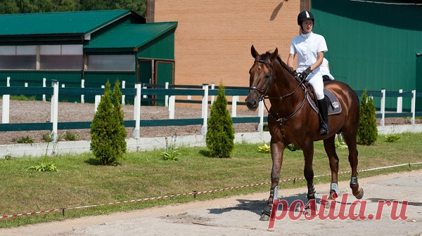 Ни для кого не секрет, что прогулки на лошадях считаются не просто интересным занятием, но и отличным средством для укрепления здоровья и поддержания осанки. Конный клуб «Horsewalk» находится в шикарном уголке подмосковного города Дзержинский, всего в 2 км от Москвы. Вы сможете в любой момент совершить конную прогулку по лесу, насладиться общением с лошадьми и чистым воздухом.

Урок верховой езды или прогулки на лошадях по лесу – прекрасный вариант восстановления душевного равновесия