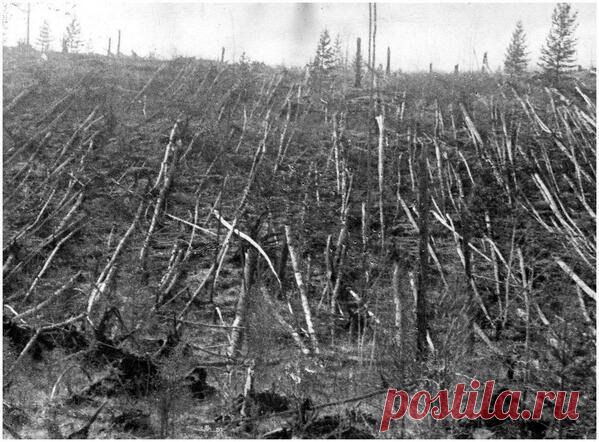 Место падения тунгусского метеорита. 1908г. / Физика невозможного!