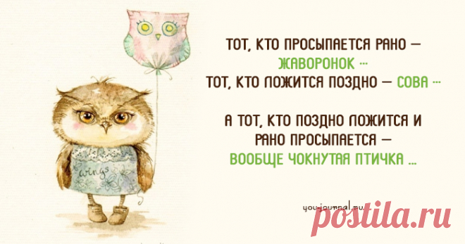 10 веселых картинок для хорошего настроения