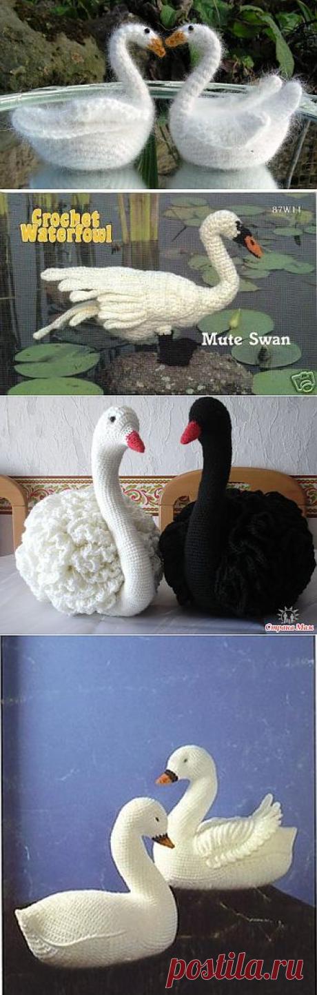 Лебеди | Записи в рубрике Лебеди | Дневник irinadas