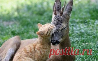 (4) Relax FM - Фото