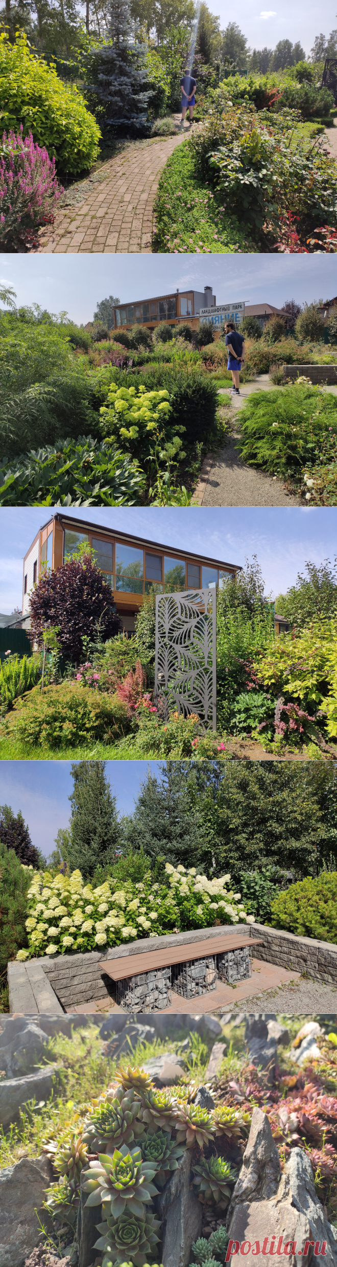 Сибирячка разбила сад на месте пустыря в 45 соток. Фото до того, как вывезли 120 камазов с мусором, и после облагораживания | Алёна в дороге | Яндекс Дзен