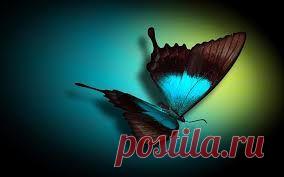 Давайте учиться рисовать! Видео-урок.