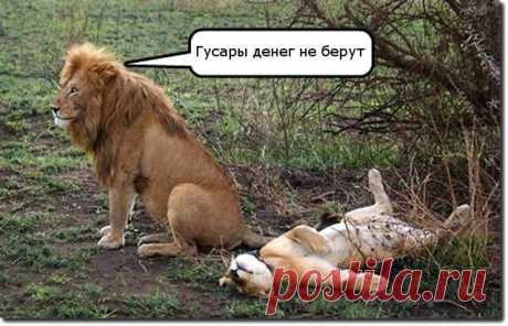 О гусарах...