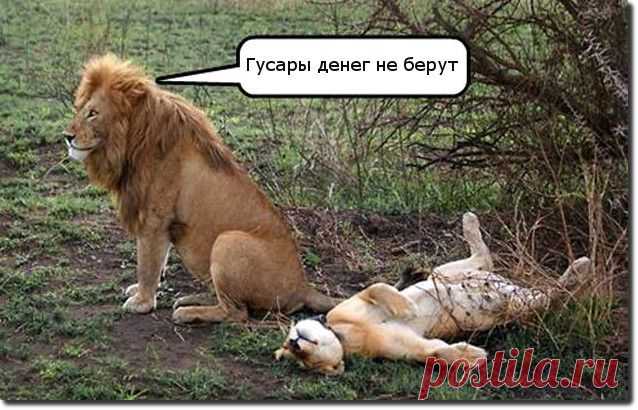 О гусарах...