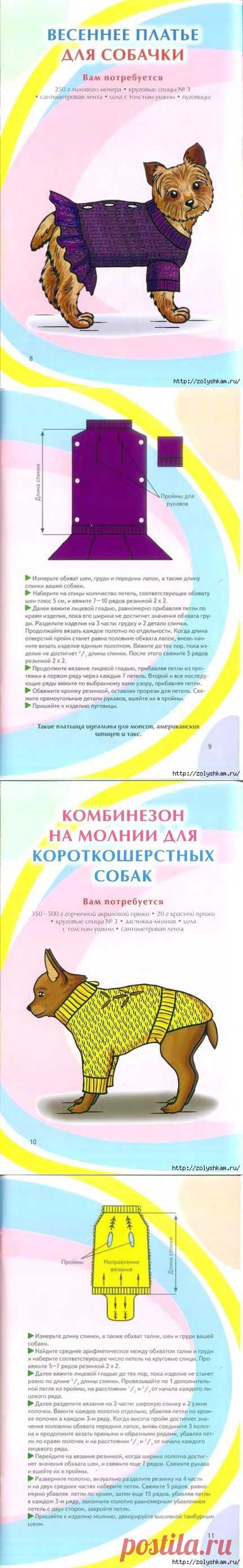 Вяжем одежду для питомцев.