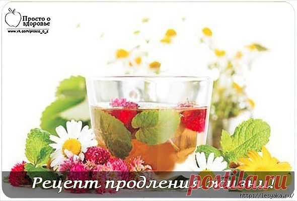РЕЦЕПТ ПРОДЛЕНИЯ ЖИЗНИ.